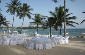 Beach Wedding